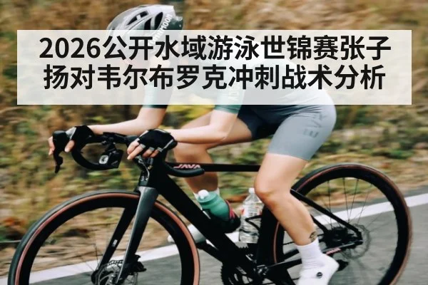 2026公开水域游泳世锦赛张子扬对韦尔布罗克冲刺战术分析